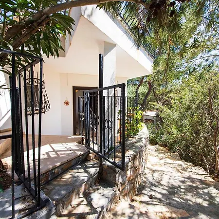 Amazing House Inside A Forest With Shared Pool In Bodrum, Mugla * Bodrum